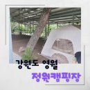 숲속의 샘물 캠핑장 | [영월캠핑장] 정원캠핑장 feat.키즈캠핑장