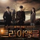 (주)트라이앵글 헤럴드경제