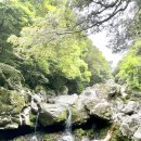 원앙목장 이미지