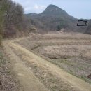 우월공인중개사사무소 이미지