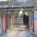 산호동241 이미지