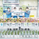 빛나는청춘 이미지