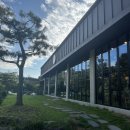 광릉내 애견 이미지