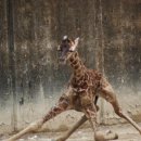 피트밀리짐 시지알파시티점 이미지