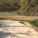 바른정공인중개사사무소 이미지