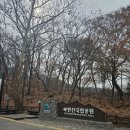 비봉진돗개 | 북한산 백운대 말고 액티비티한 의상봉 코스