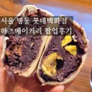 은나네 | 빵수니 빵투어:) 서울 롯데백화점 명동 하츠베이커리 팝업 후기