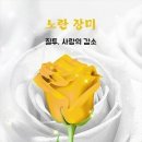 로즈데이 이미지