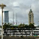 007티켓커피나무 | 하와이 호놀룰루 여행 | 레드라인 트롤리 티켓 와이키키 쇼핑플라자에서 현장구매 &amp; 탑승후기