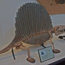 덕소자연사박물관 이미지