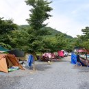 초록슈피아캠핑장 이미지
