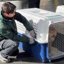 (주)금강케어 이미지