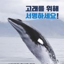 [고래를 위해 서명하세요] 상업포경 종식을 위한 국제청원 이미지