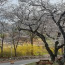 간전면백운관 이미지