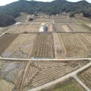 장성마을농장 이미지