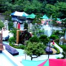 은행식당 이미지