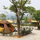 아르보리아파크 캠핑장 이미지