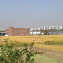 서호당구장 이미지