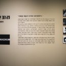 사진전시 관람-매그넘인파리 이미지