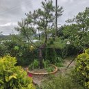 초콜릿 하우스(주말) 이미지