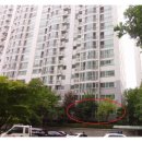 율전세계로약국 이미지