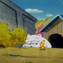 땡구야놀자 이미지