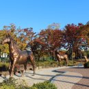 마들스타디움 이미지