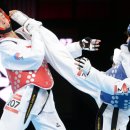 경향태권도 이미지