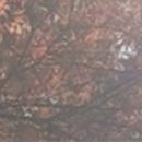 굿플러스치과의원 이미지