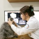 뉴타운동물병원 이미지