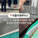 위니위드