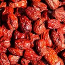 푸드카펫 이미지