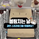 올바른 참견 이미지