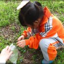 꽃초롱어린이집 이미지