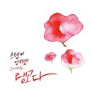 감성 일러스트 캘리그라피 이미지