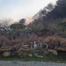 무릉도원면-34 이미지