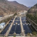 대화송어양식장 이미지