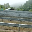 튼튼농장 이미지