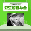 금왕동물병원 이미지