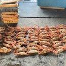 동해-단속-40 이미지