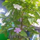 강변회수산센터 이미지