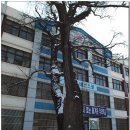 계산동 은행나무 이미지