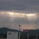 서광참기름
