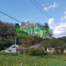 송암리 농장 이미지