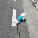 신풍리마을 이미지