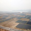 삼호태양광발전소 이미지