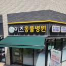초록동물병원 네이버블로그