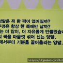 호이삭스