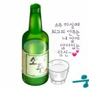 🍾소주마시는 법" 🍾 이미지