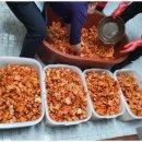 조박사설렁탕 이미지